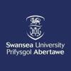 Swansea University